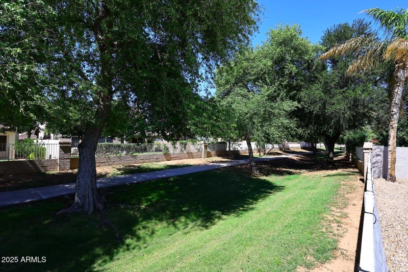 Walking Path behind Home