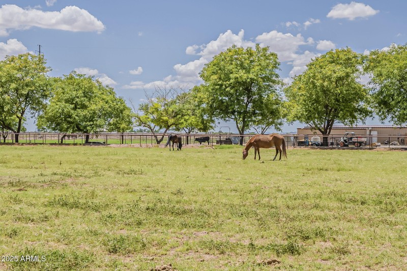 94-web-or-mls-Linda-94