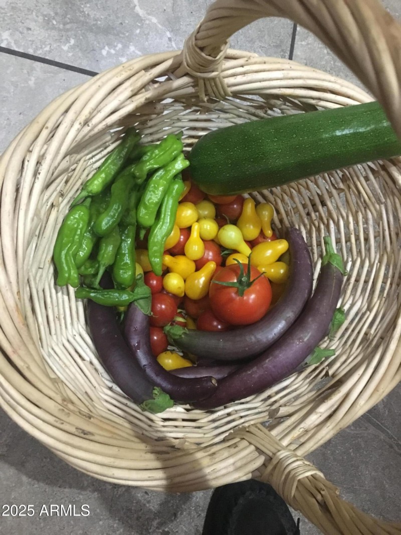 Harvest Basket