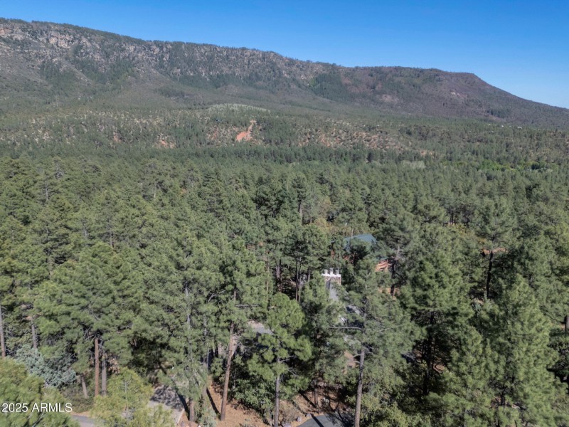 52-web-or-mls-TimberCreekImagery-40