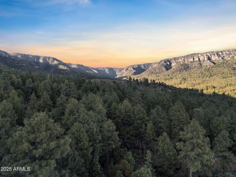 72-web-or-mls-TimberCreekImageryTW-13