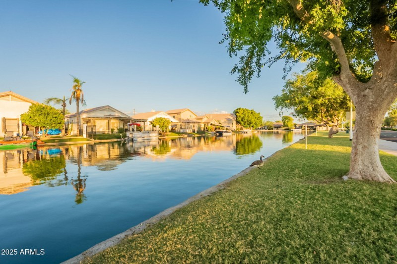 47-web-or-mls-89th-47