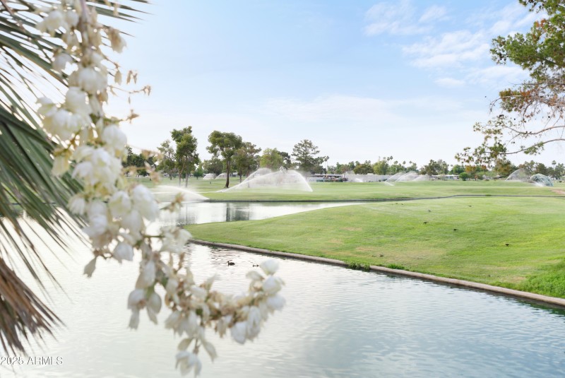 Beautiful McCormick Ranch