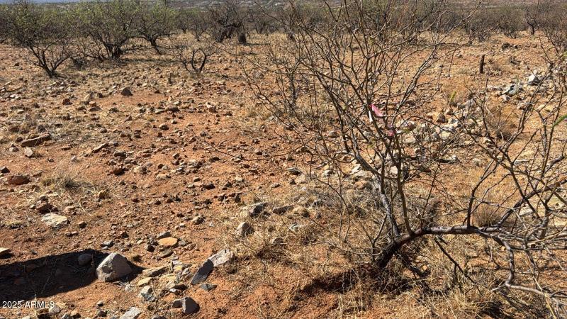 de41250d-ea27-412d-8b47-ec786da510a0