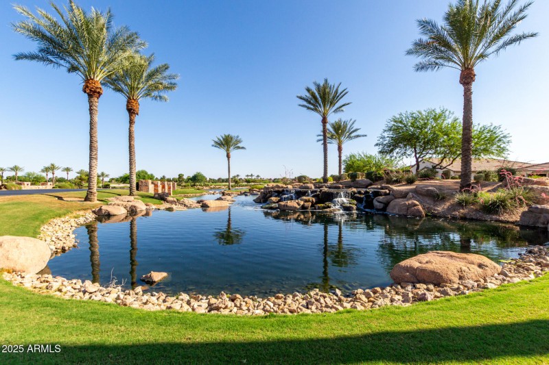 39 - Desert Tea 35990