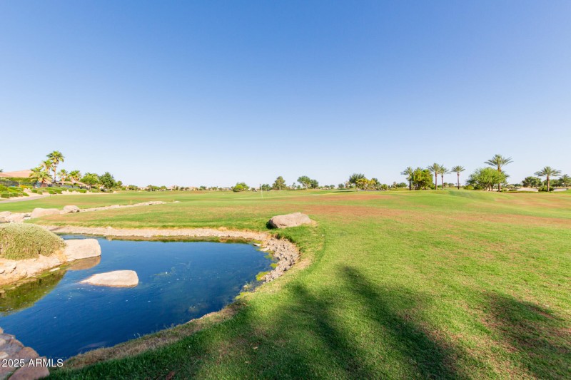 42 - Desert Tea 35990