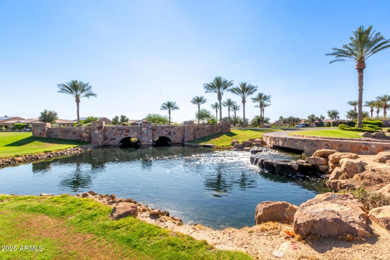 43 - Desert Tea 35990