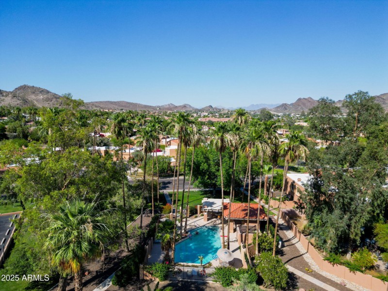 Resort Style Community Pool