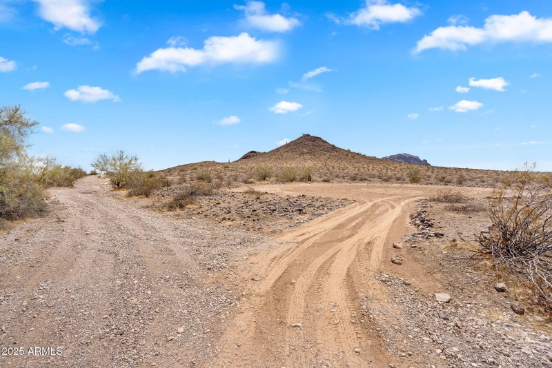 19-web-or-mls-DSC09012