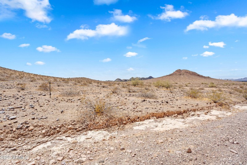 21-web-or-mls-DSC09018