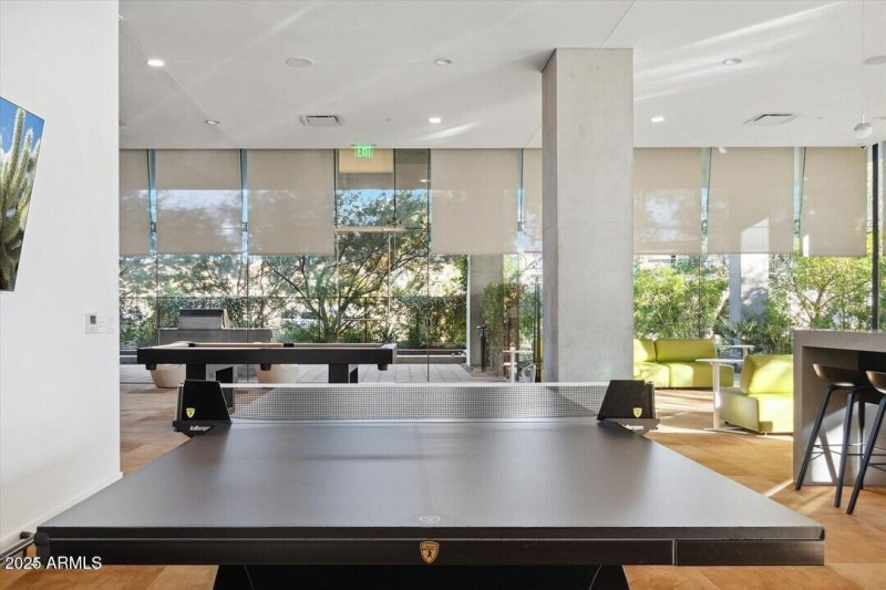 Ping Pong Pool Table