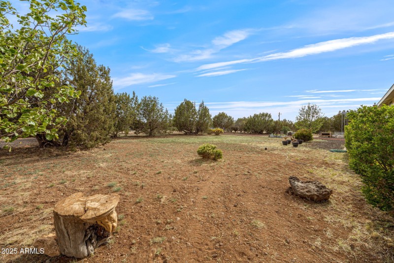 8870HappyTrail-ShowLow-AZ-34