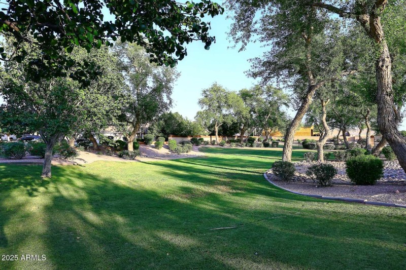 Community Park