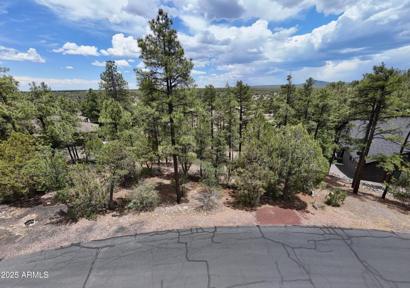 DJI_20250609124513_0459_D