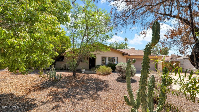 2-web-or-mls-P1083831