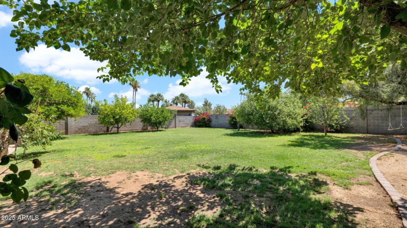 49-web-or-mls-P1083823