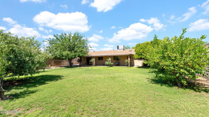 55-web-or-mls-P1083818