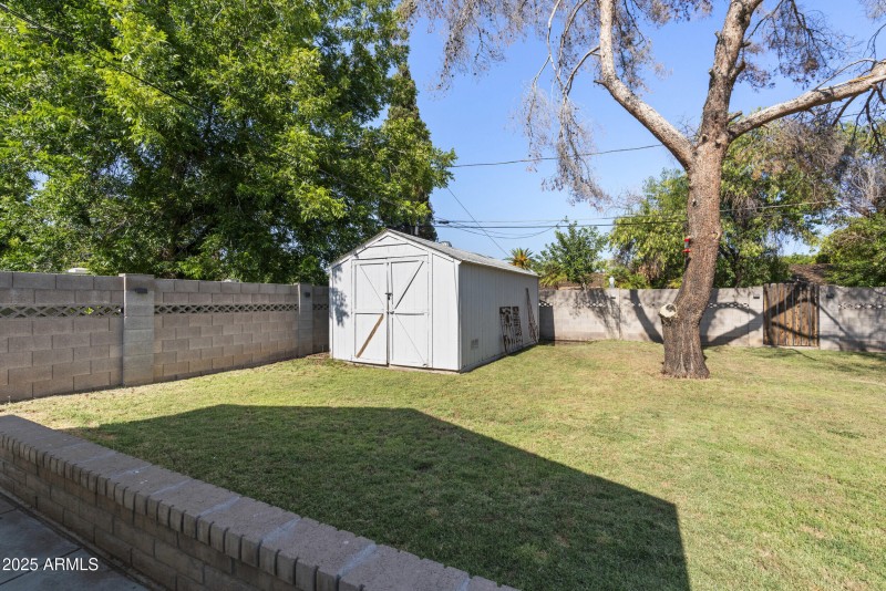 Large shed in the backyard