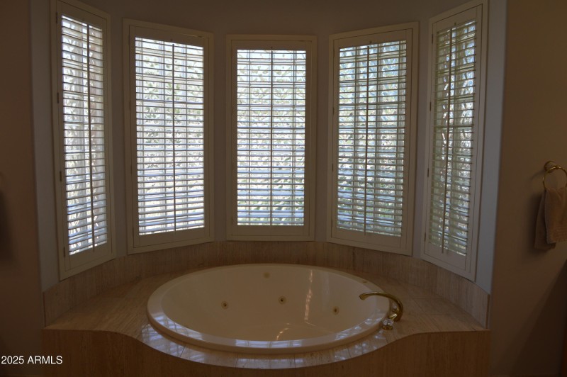 Master bath DSC_0042