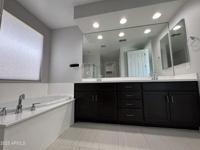 Primary Bath Dual Sink