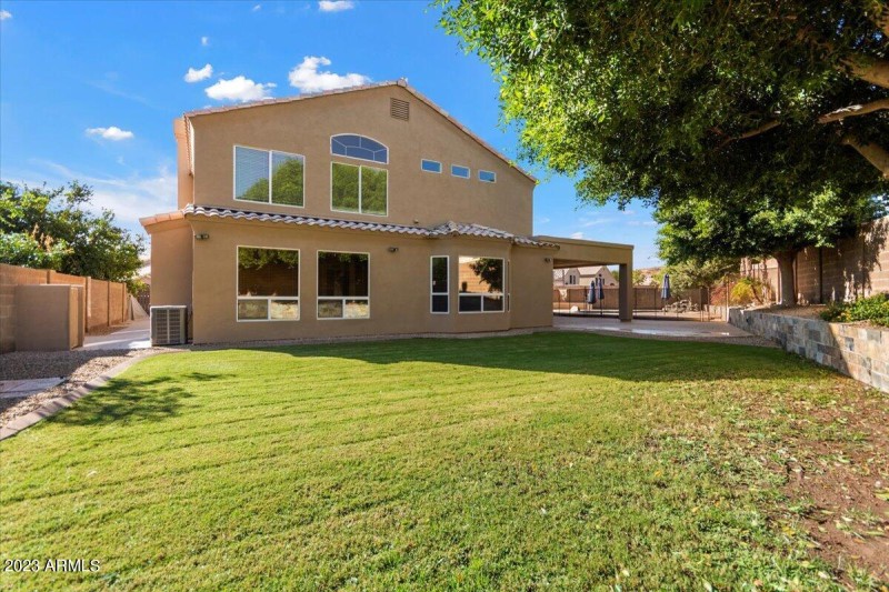 Backyard Corner View