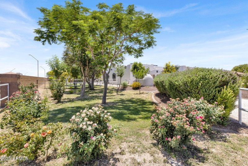 28-web-or-mls-24313 w. Grove St Buckeye,