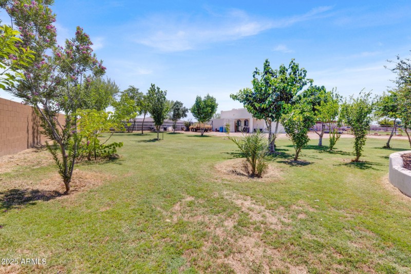 97-web-or-mls-24313 w. Grove St Buckeye,