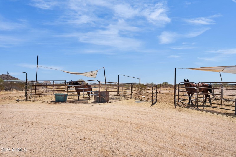 5-web-or-mls-DSC00308