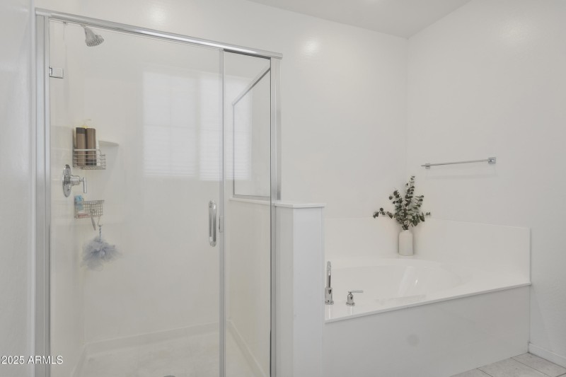 Standing shower with separate tub.