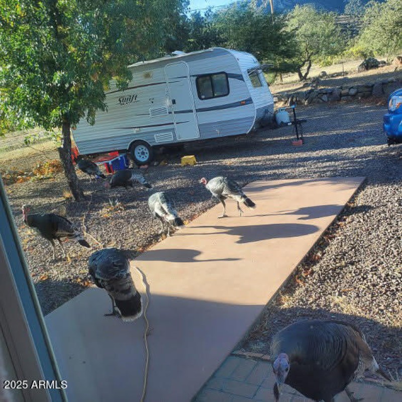 Not sure what they have found to eat.