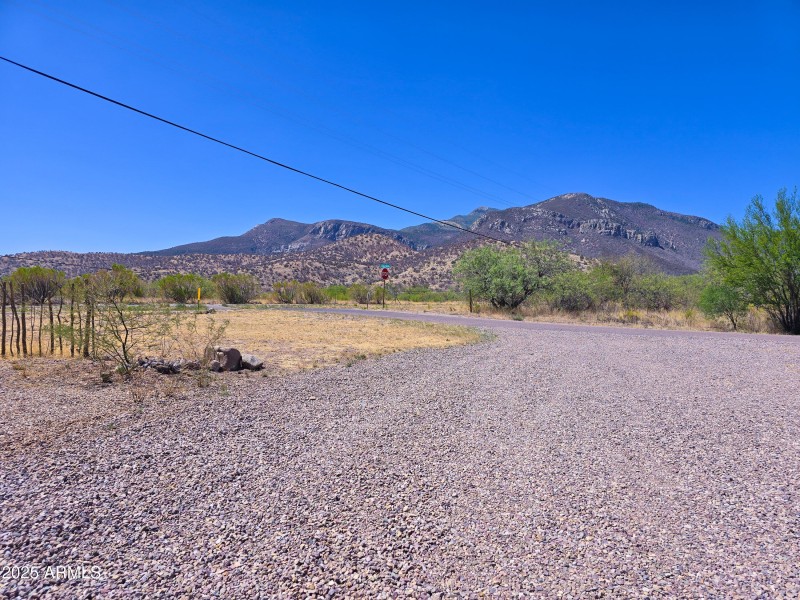 The Huachuca's in the summer!