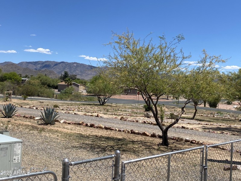 View from the back porch