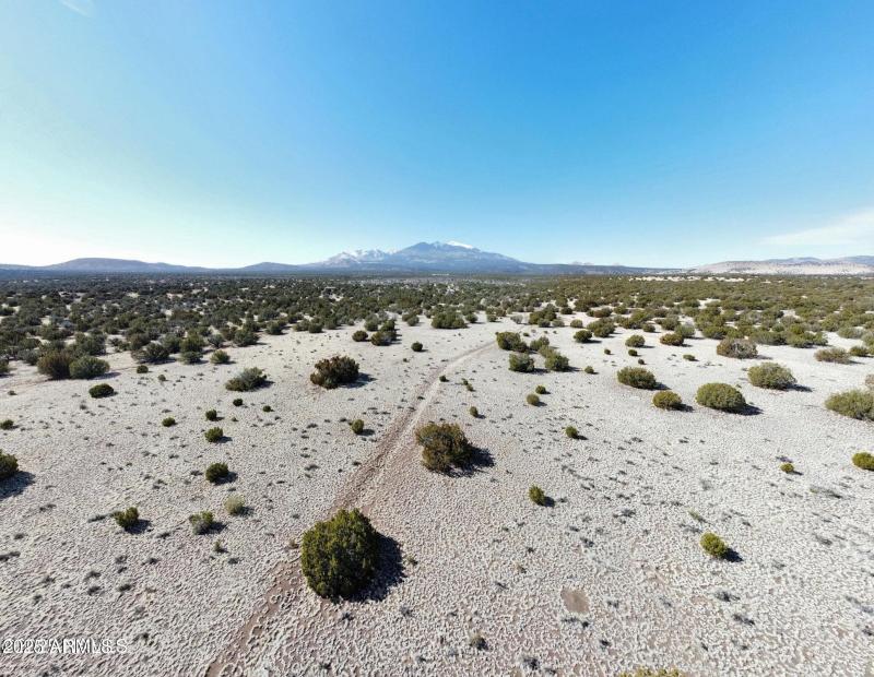 Panorama 2