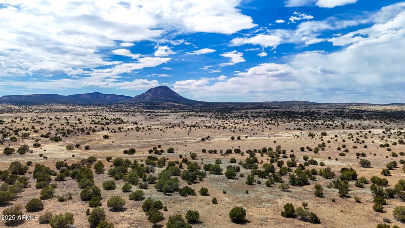dji_fly_20250530_142902_0038_17487149963