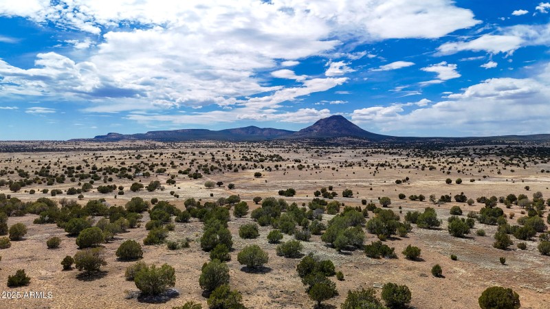 dji_fly_20250530_142904_0040_17487149957