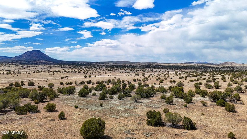 dji_fly_20250530_142910_0042_17487149951