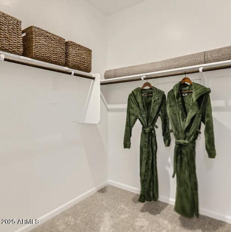 Owner's Walk in Closet