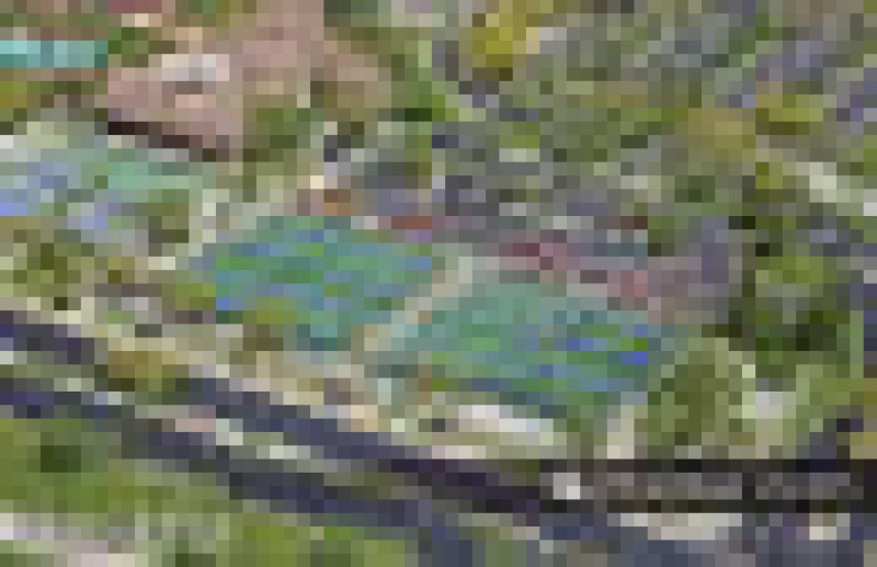 Robson Pickleball Courts