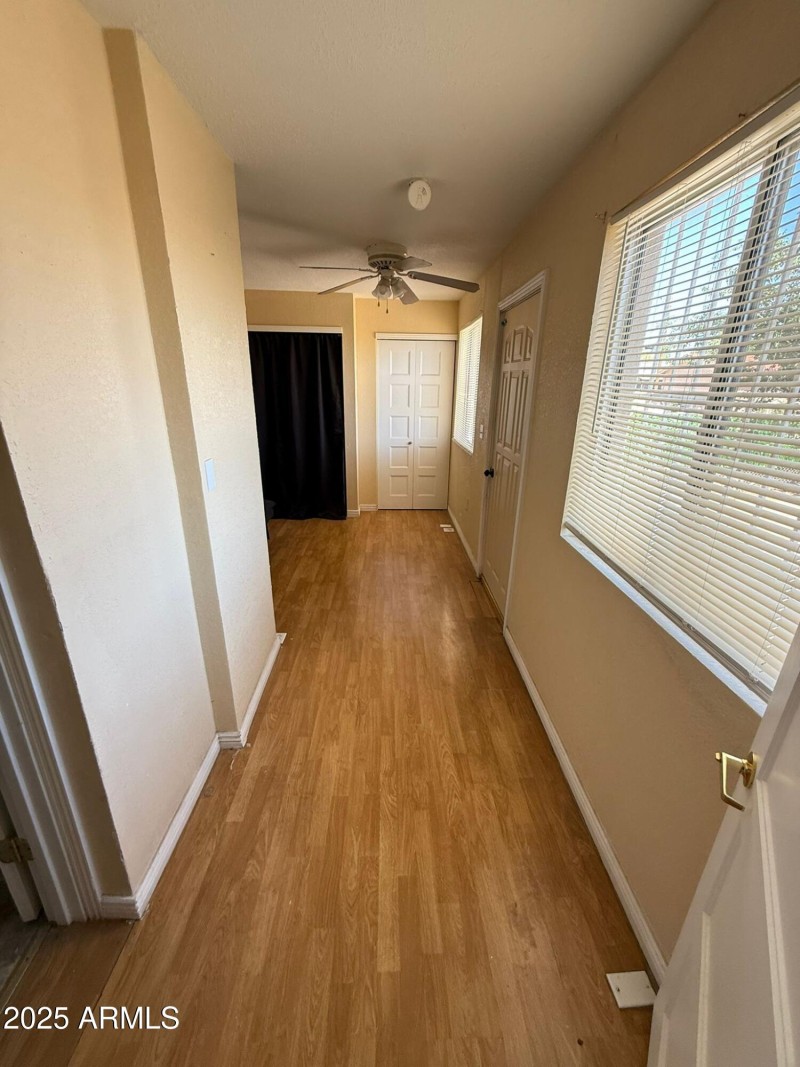 WhatsApp Image 2025-06-17 at 2.46.56 PM