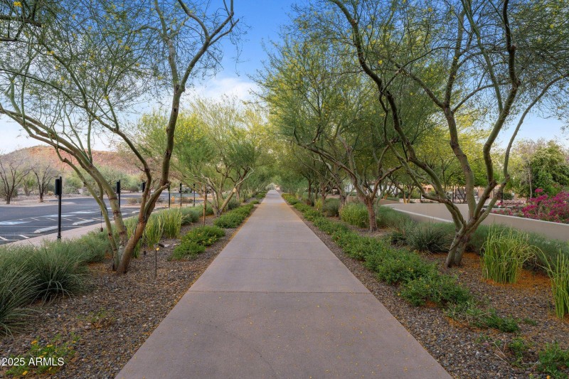 86-web-or-mls-DSC00084