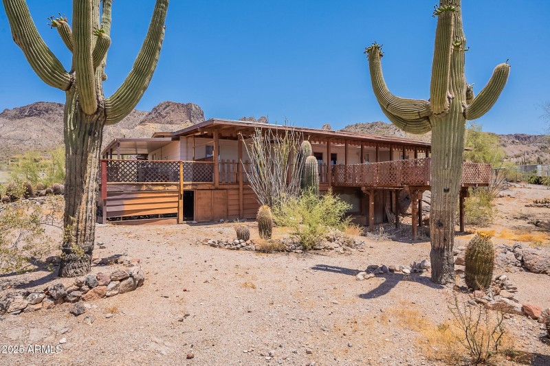 5-web-or-mls-Saddle-5