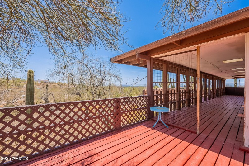 38-web-or-mls-Saddle-38