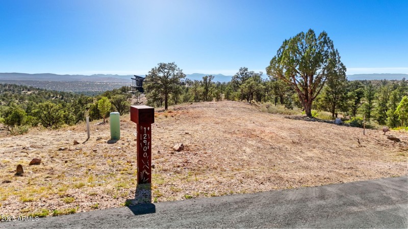 13-Lot Photo