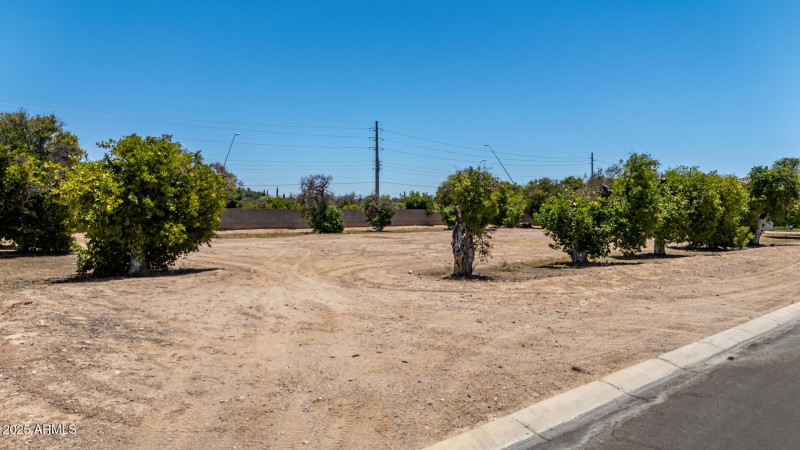 09 - Orchard