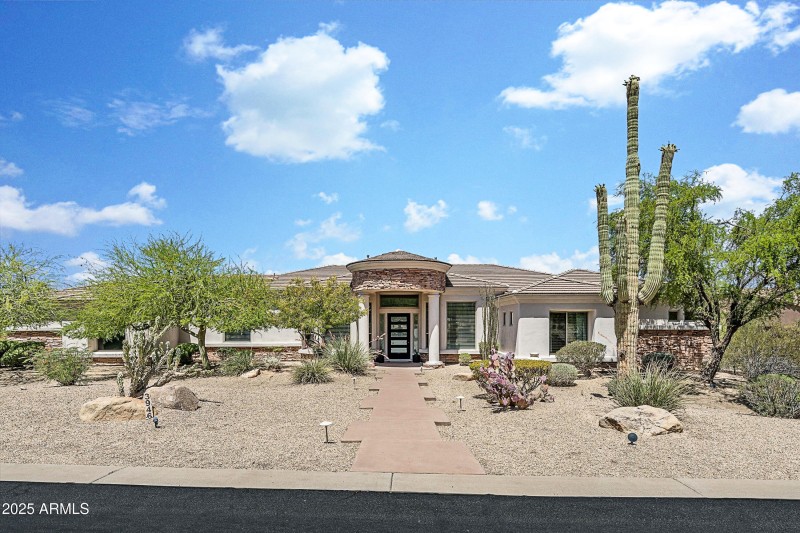 Sonoran Desert Beauty