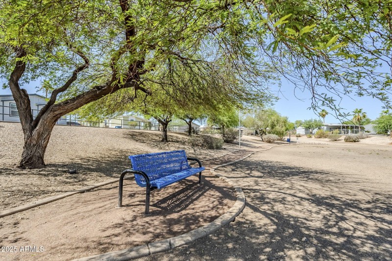 50-web-or-mls-Apache-50