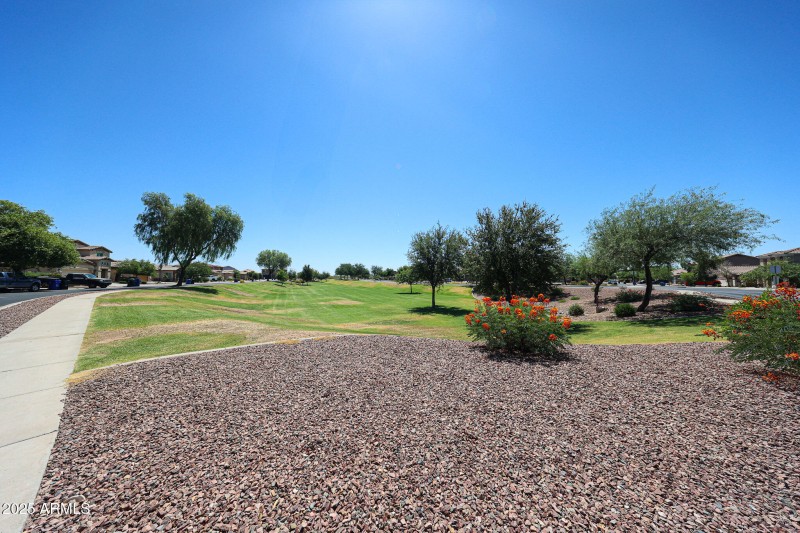 Green Belt Across The Street