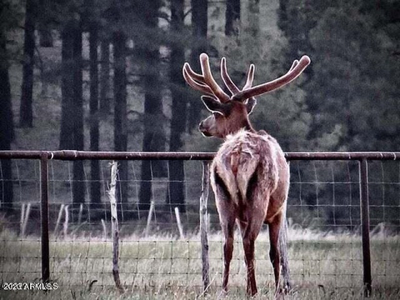 20230623164501136746000000-o