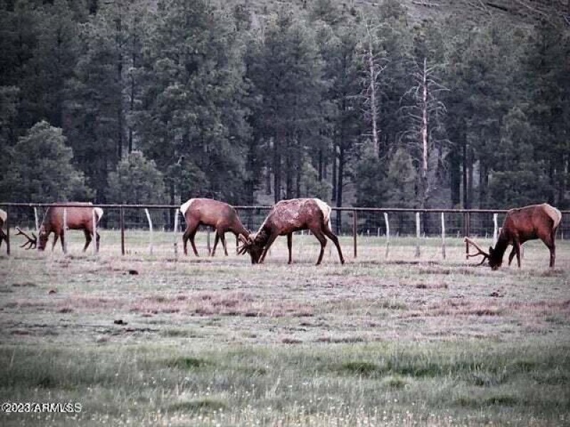 20230623164501504044000000-o