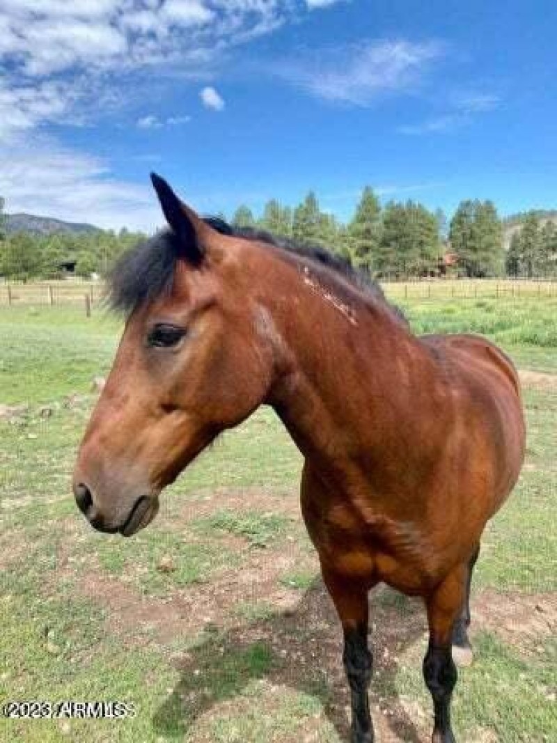 20230623164503398276000000-o